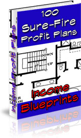 14 Profit-Producing eBooks-Income Blueprints: 100 Sure-Fire Profit Plans!