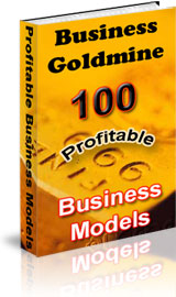 14 Profit-Producing eBooks - Business Goldmine: 100 Low Risk, High-Return Internet Business Models:100 Low Risk, High-Return Internet Business Models!