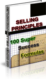 14 Profit-Producing eBooks-Selling Principles: 100 Super Success Formulas!