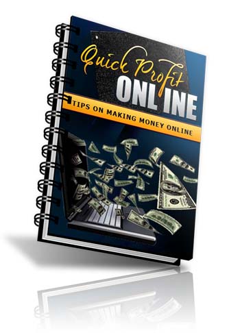 How to build website & increase website traffic video course package - Quick profit online eCover